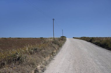 Portekiz 'in kırsal kesimlerinden birinde elektrik hattı ve yanındaki direklerin olduğu boş bir yol.