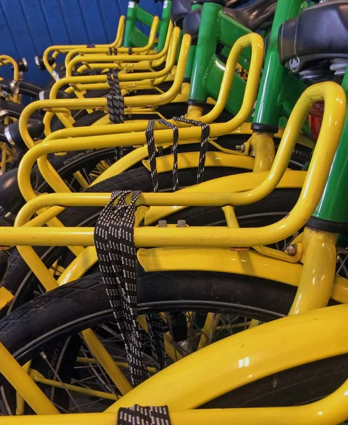 Fila Bicicletas Alquiler Los Países Bajos —  Fotos de Stock