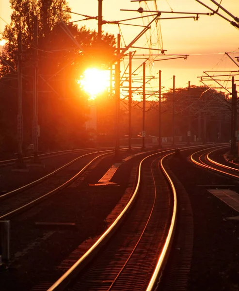Установка Сонця Освітлює Залізничні Колії Кельні Німеччина — стокове фото