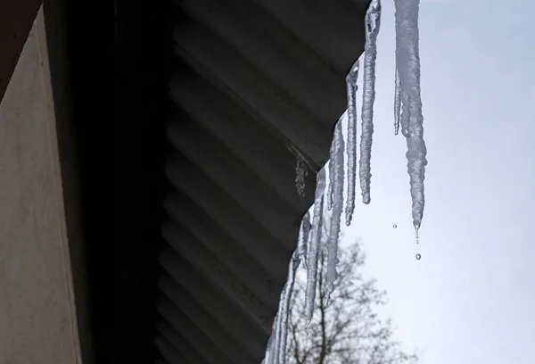 Icicles Hanging Roof Barn — Stock Photo, Image