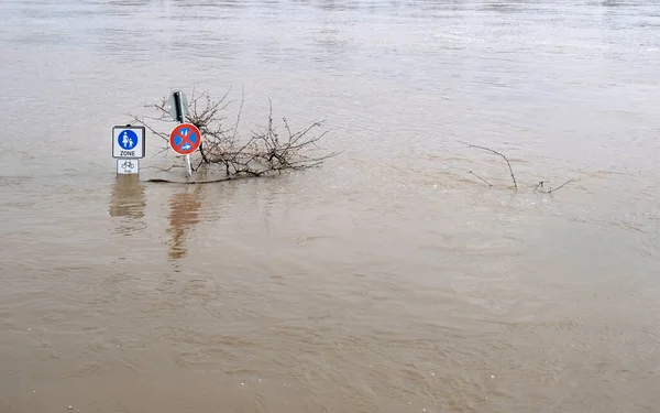 Şiddetli hava - Almanya, Köln 'de yaya bölgesini su bastı