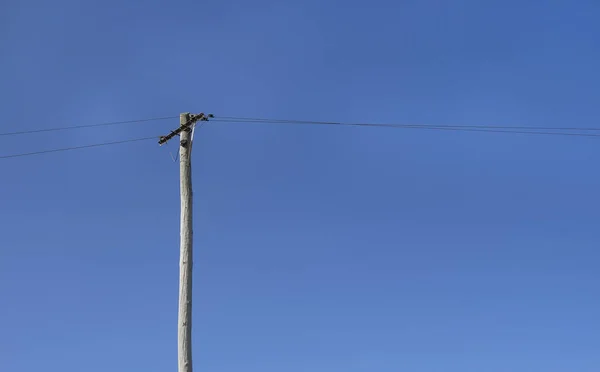 Power line and wooden pole in front of a blue sky