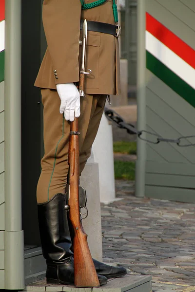 Guardia Palazzo Budapest Ungheria — Foto Stock