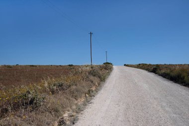 Portekiz 'in kırsal kesimlerinden birinde elektrik hattı ve yanındaki direklerin olduğu boş bir yol.