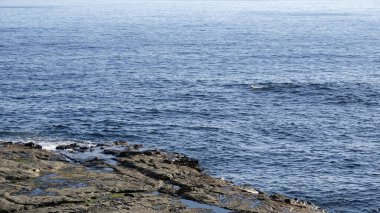 Enoshima, Japonya 'nın güzel kıyıları boyunca