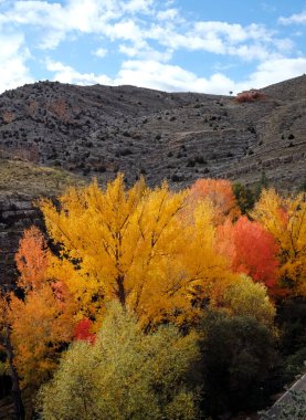 İspanya, Albarracin 'de sonbahar mevsiminde renkli ağaç gösterimi