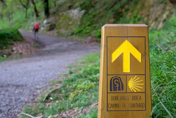 İspanya 'nın kuzey kıyısındaki Camino del Norte' ye imza atın.