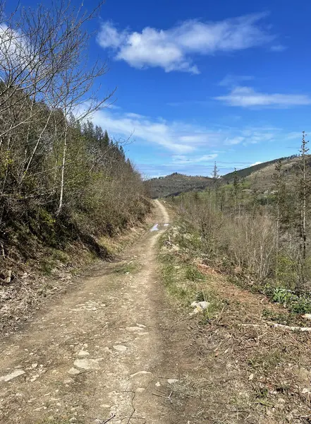 Kuzey İspanya 'da Camino del Norte hac rotasındaki manzara