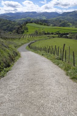 Kuzey İspanya 'daki Camino del Norte' de boş patika.