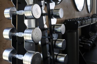 Spor salonundaki ağırlık sırasına odaklan.