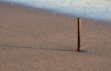 Gün batımında kumsalda bir parça odun.