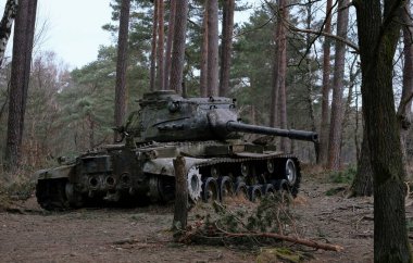 Batı Almanya 'da İkinci Dünya Savaşı' ndan kalma bir tankın kalıntıları.
