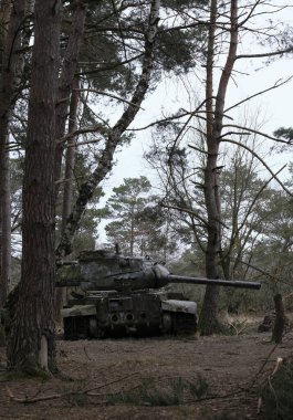 Batı Almanya 'da İkinci Dünya Savaşı' ndan kalma bir tankın kalıntıları.