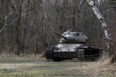 Batı Almanya 'da İkinci Dünya Savaşı' ndan kalma bir tankın kalıntıları.