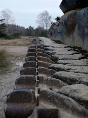 Batı Almanya 'da İkinci Dünya Savaşı' ndan kalma bir tankın kalıntıları.