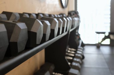 Spor salonundaki ağırlık sırasına odaklan.