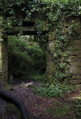 Ormanda terk edilmiş bir binanın kapısı.