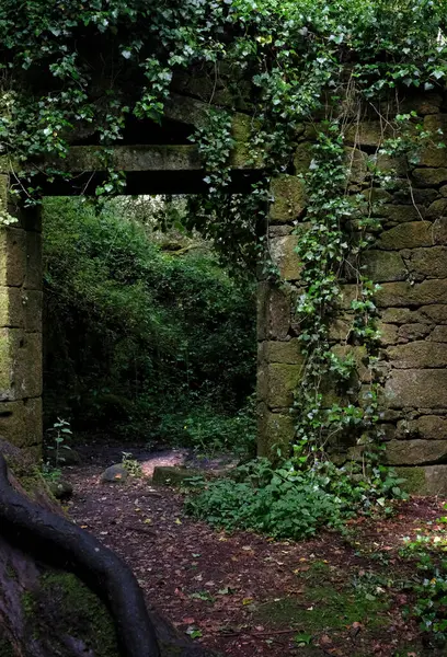 Ormanda terk edilmiş bir binanın kapısı.