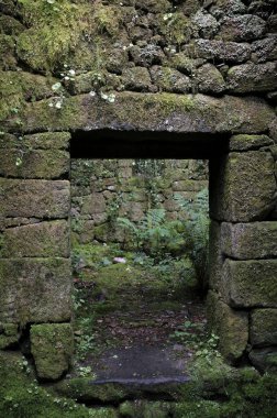 Ormanda terk edilmiş bir binanın kapısı.