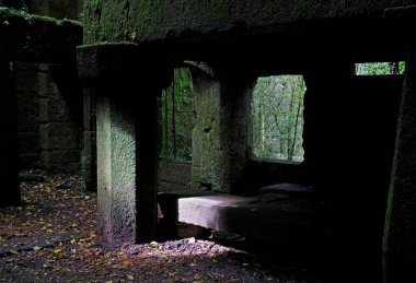 Galiçya, İspanya 'da terk edilmiş bir evde yosunlu duvarlar ve ürkütücü bir atmosfer.