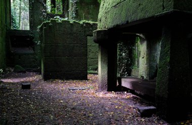 Galiçya, İspanya 'da terk edilmiş bir evde yosunlu duvarlar ve ürkütücü bir atmosfer.