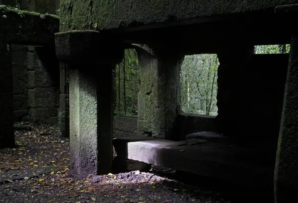 Galiçya, İspanya 'da terk edilmiş bir evde yosunlu duvarlar ve ürkütücü bir atmosfer.