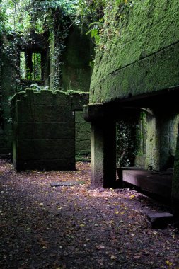 Galiçya, İspanya 'da terk edilmiş bir evde yosunlu duvarlar ve ürkütücü bir atmosfer.