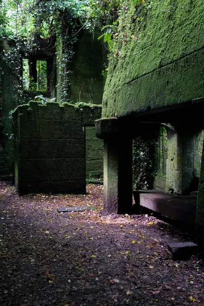 Galiçya, İspanya 'da terk edilmiş bir evde yosunlu duvarlar ve ürkütücü bir atmosfer.