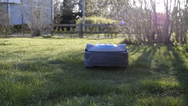 Robot Kosiarki Kosi Trawę Ogrodzie — Wideo stockowe