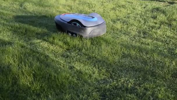 Lawnmower Robot Mows Grass Garden — Stock Video