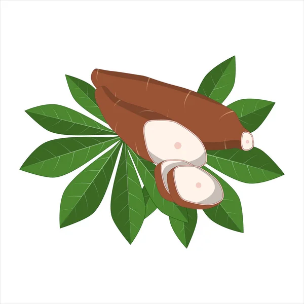 Cassava Auf Einem Blattmattenvektor Illustration Der Manihot Esculenta Als Alternative — Stockvektor