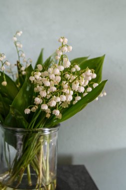 Vadinin güzel zambakları, gri ahşap arka planda yeşil ve leylak çiçekleri..