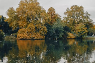 Düsseldorf 'ta kuşlu göletler ve kanallar