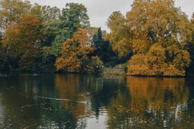Düsseldorf 'ta kuşlu göletler ve kanallar