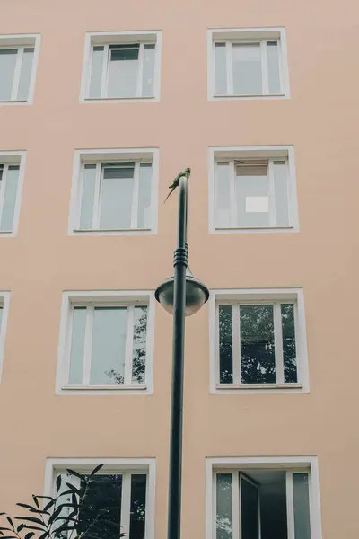Dusseldorf 'un eşsiz eski ve modern mimarisi