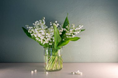 Pastel Arkaplan 'daki Vadi' nin Beyaz Zambağı