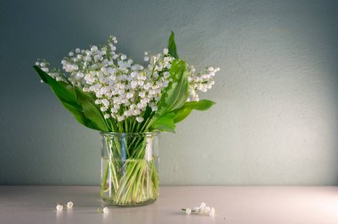 Pastel Arkaplan 'daki Vadi' nin Beyaz Zambağı