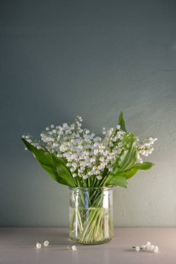 Pastel Arkaplan 'daki Vadi' nin Beyaz Zambağı