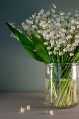 Pastel Arkaplan 'daki Vadi' nin Beyaz Zambağı