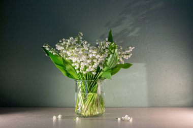 Pastel Arkaplan 'daki Vadi' nin Beyaz Zambağı