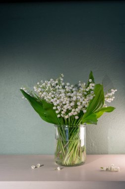 Pastel Arkaplan 'daki Vadi' nin Beyaz Zambağı