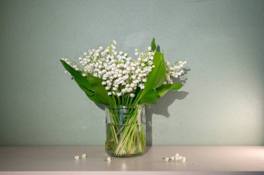 Pastel Arkaplan 'daki Vadi' nin Beyaz Zambağı