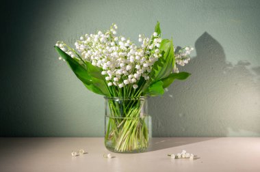 Pastel Arkaplan 'daki Vadi' nin Beyaz Zambağı