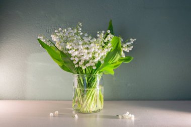 Pastel Arkaplan 'daki Vadi' nin Beyaz Zambağı