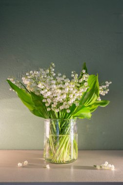 Pastel Arkaplan 'daki Vadi' nin Beyaz Zambağı