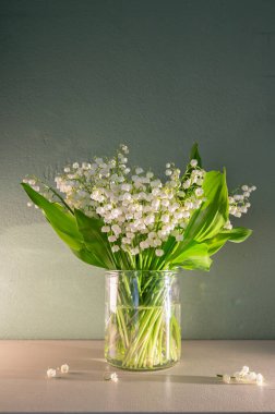 Pastel Arkaplan 'daki Vadi' nin Beyaz Zambağı