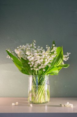 Pastel Arkaplan 'daki Vadi' nin Beyaz Zambağı