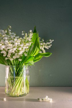 Pastel Arkaplan 'daki Vadi' nin Beyaz Zambağı