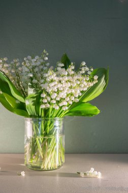 Pastel Arkaplan 'daki Vadi' nin Beyaz Zambağı