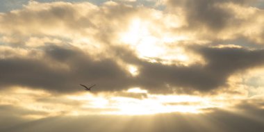 bulutlar ve güneş ile günbatımı